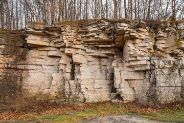 Niagara Escarpment dolomite, Silurian outcrops, High Cliff State Park, WI.