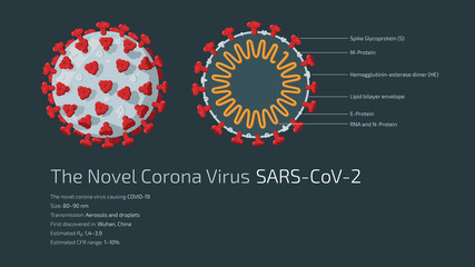 Detailed flat vector illustration of the structure of The Novel Corona Virus SARS-CoV-2, the virus causing COVID-19. Feel free to also use only parts of the illustration.