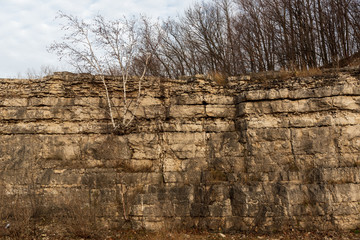 Niagara Escarpment dolomite, Silurian outcrops, High Cliff State Park, WI.