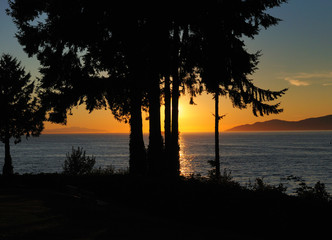 Enchanting Sunset Behind A Couple Of Trees At Stanley Park In Vancouver