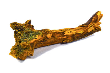 Dried up piece of an old tree branch isolated on a white background	