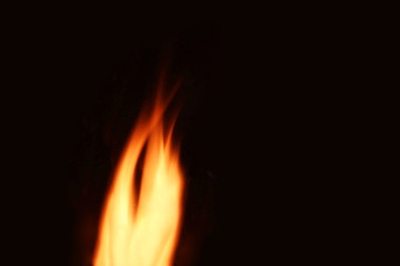 Defocused Background. Fire flame on a black background. Close-up.