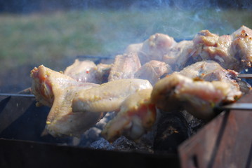 Chicken wings are fried on skewers on the grill. Picnic in nature.