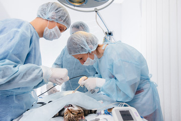 In a modern veterinary clinic, an operation is performed on an animal on the operating table in...