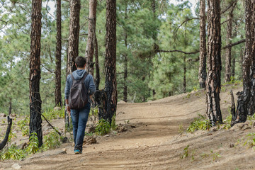 A young man with a backpack travels along a route in the west side of Tenerife. Hiking by the mountain trail surrounded by endemic vegetation pine tree forest and fields of lava rocks. Canary Islands