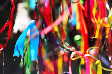 Colorful ribbons tied on tree branches, festival