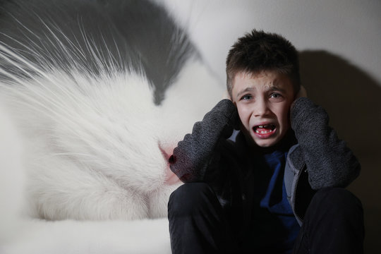 Little boy suffering from ailurophobia. Irrational fear of cats