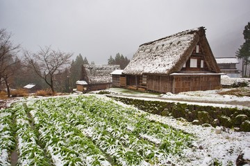 World Heritage Site, Gokayama, Toyama, Japan