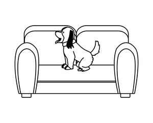 sofa livingroom forniture with cute dog