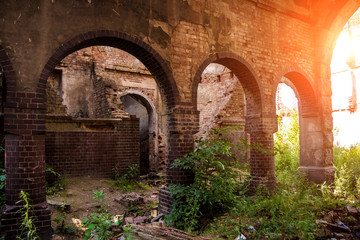Fototapeta na wymiar Overgrown by plants ruins of abandoned mansion