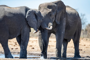 A photographic tour of Namibia on film