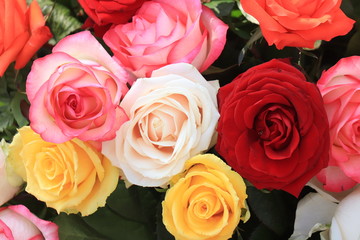 Rose bouquet in bright colors