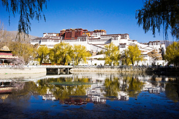 Fototapeta na wymiar the lake in front of the Potala Place, Tibet China
