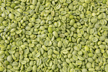 Green coffee beans as background