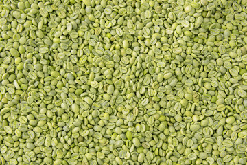 Green coffee beans as background