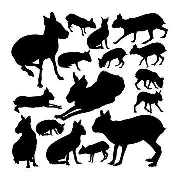 Patagonian mara animal silhouettes. Good use for symbol, logo, web icon, mascot, sign, or any design you want.