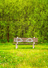 Park bench with graffiti, eyes painted in white, vibrant green foliage.