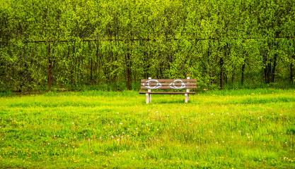 Grungey park bench tagged with a pair of eyes painted on the bench, graffiti