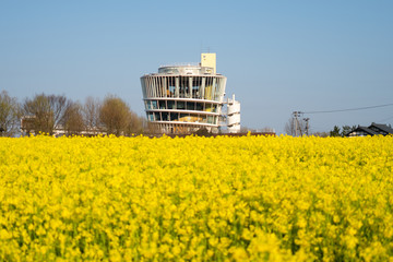 新潟市福島潟の菜の花畑