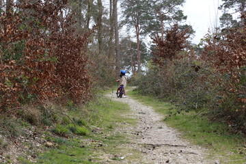 Enfant &agrave; v&eacute;lo en for&ecirc;t pendant le confinement