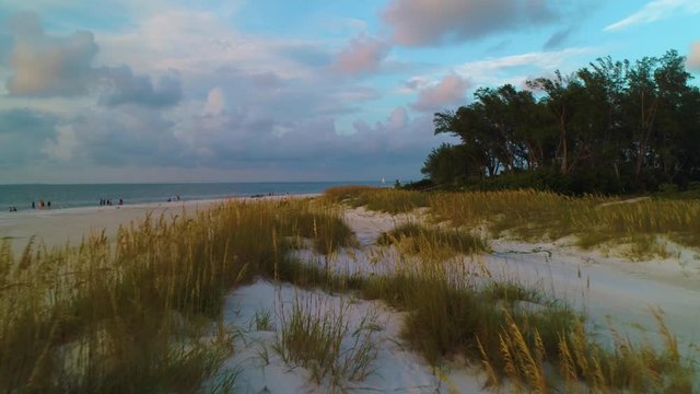 Slow moving drone flight over Sea Oats on Anna Maria Island on Florida's Gulf coast.