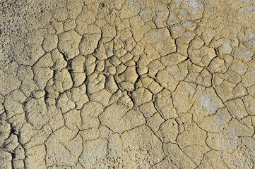 Dry soil cracking