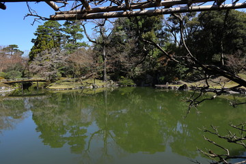 Fototapeta na wymiar 庭園の池