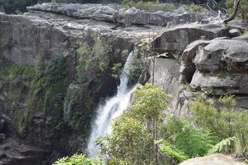 natura australiana 
