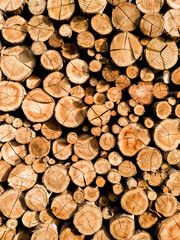 wallpaper of a woodpile