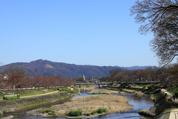 Fototapeta na wymiar 御菌橋からの賀茂川の景色
