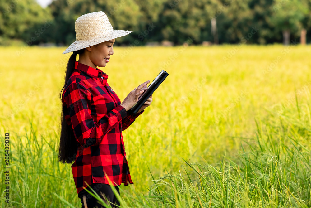 Canvas Prints woman using modern technologies in agriculture and agronomist farmer with digital tablet computer in rice field using apps and internet 