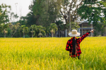 Naklejka na ściany i meble woman using modern technologies in agriculture and agronomist farmer with digital tablet computer in rice field using apps and internet in agricultural production.golden rice field background