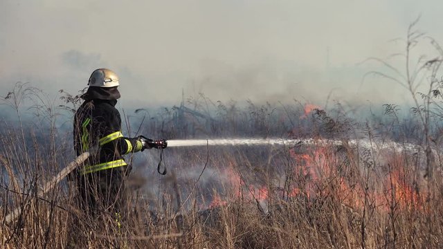 Firefighter puts out a forest fire near the city. Burning grass with smoke among the bushes and trees. Air pollution and ecology. Fires caused by drought and climate change. Arson Grass. Firemen 