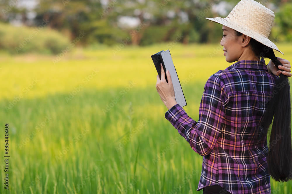 Canvas Prints woman using modern technologies in agriculture and agronomist farmer with digital tablet computer in rice field using apps and internet in agricultural production.golden rice field background