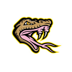 Mascot icon illustration of head of an angry, aggressive habu snake, Okinawa habu or Kume Shima habu, a species of venomous pit viper endemic to Japan, baring it's fangs done in retro style.