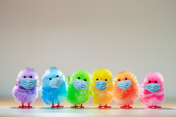 Corona Küken zu Ostern