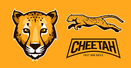 cheetah vector art  © Grind