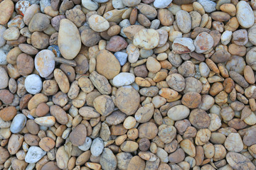 Color pebble stone on ground for texture background.