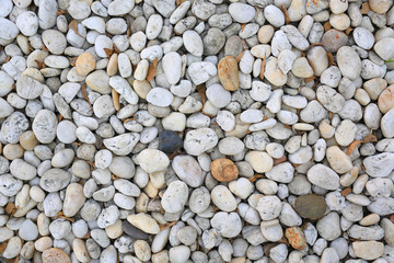 pebble stone on ground for texture background.
