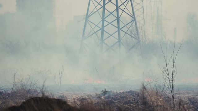 Forest fire with smoke near the city. Burning grass among power poles against the background of buildings and houses. Air pollution and ecology. Fires caused by drought and climate change