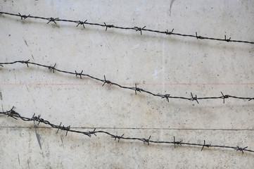 Obraz premium Rusty barbed wire on concrete wall background.