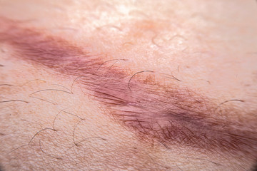 Naklejka premium A close up shot of the pore on the back of the hand