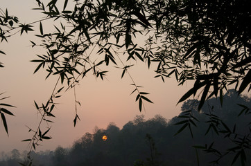 Obraz na płótnie Canvas Morning scene in countryside of Thailand