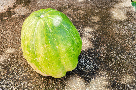 Calabaza Pumpkin On Concrete Pavement
