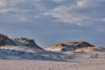 Horizontal image of New Jersey's Island Beach State Park and the Protected and endangered sand dunes in late afternoon light on an empty beach