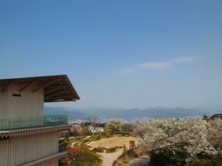 日本平夢テラスと清水港（桜）