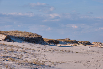 Horizontal image of New Jersey's Island Beach State Park and the Protected and endangered sand dunes in late afternoon light on an empty beach