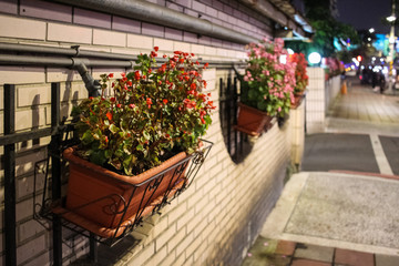 Fototapeta na wymiar blossom flowers on the street flower pot out of focus