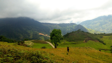 Fototapeta na wymiar Very lush and green oriental landscape on a cloudy day
