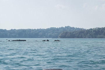 Naklejka premium A shot of Andaman Island in the middle on Indian Ocean with beautiful clouds